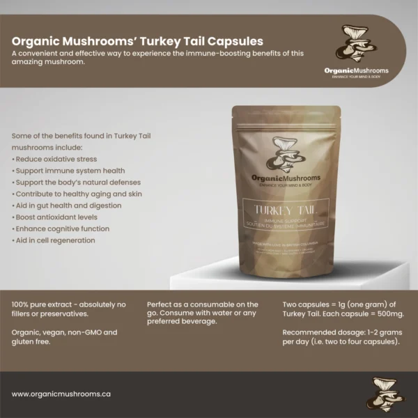 Turkey Tail Capsules