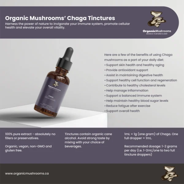 Chaga Tincture