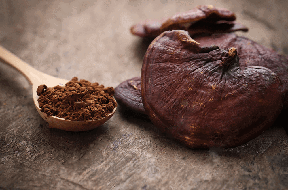 Finding Serenity in Nature: The Best Mushrooms for Anxiety