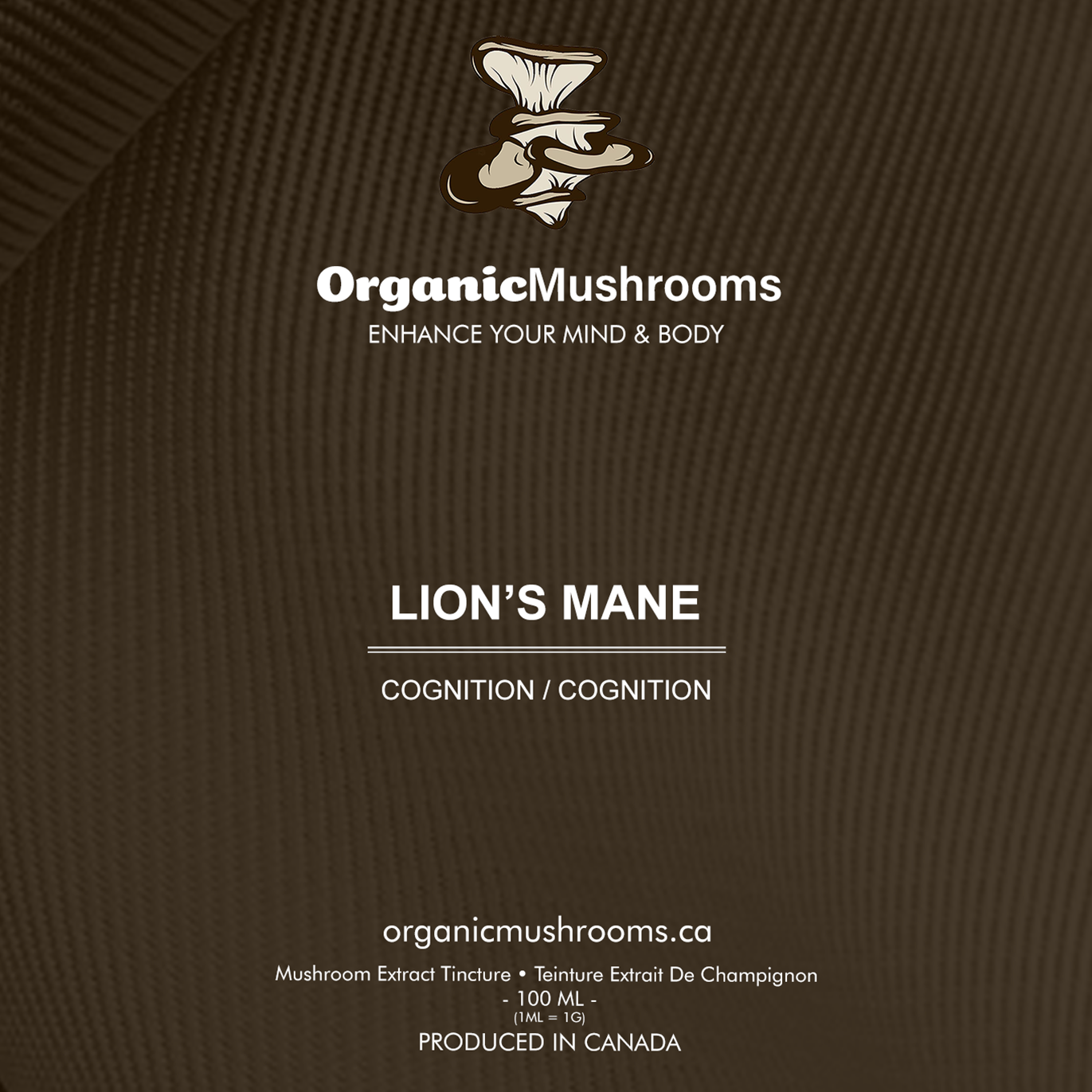 Lions Mane Mushroom Coffee Review - Mr Mushroom