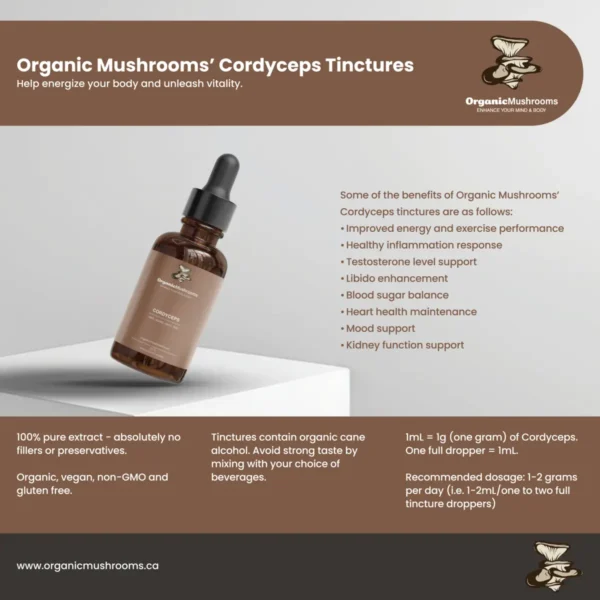 Cordyceps Mushroom Tincture