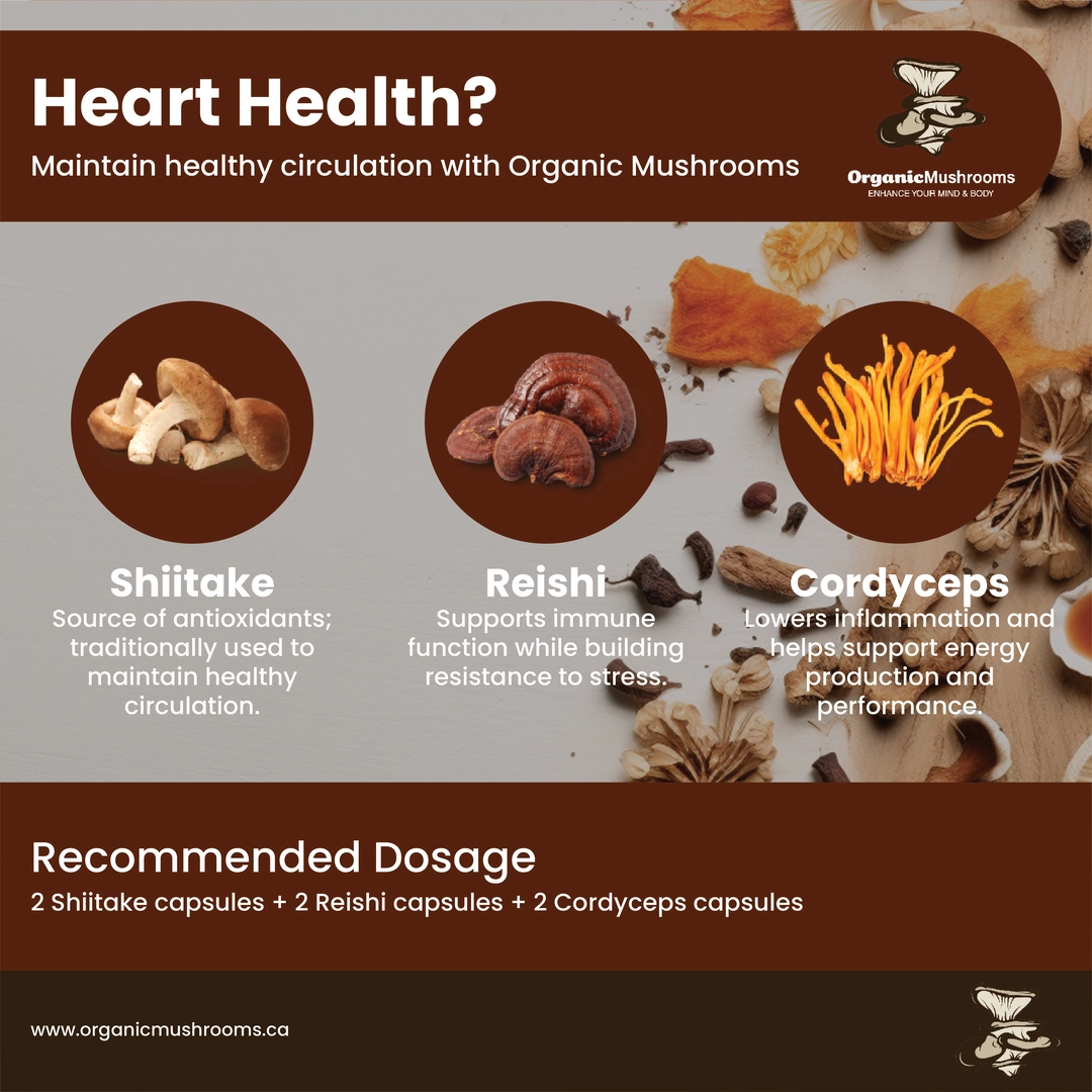 Heart Health Wellness Bundle