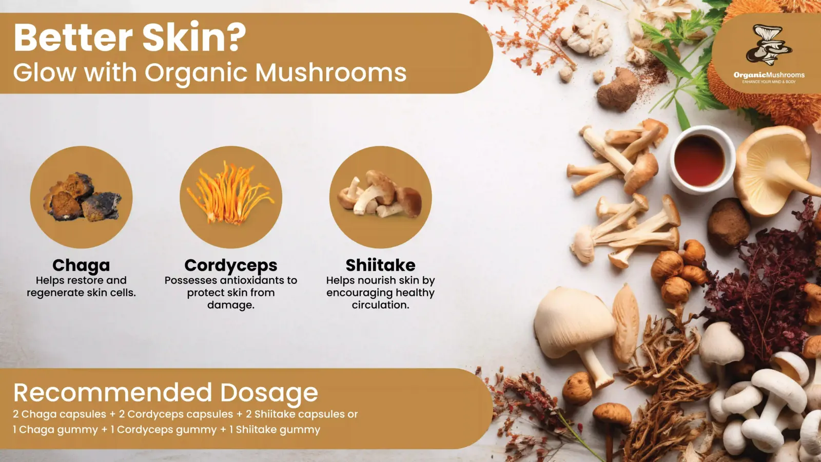 Skin Care Wellness Bundle Organic Mushrooms