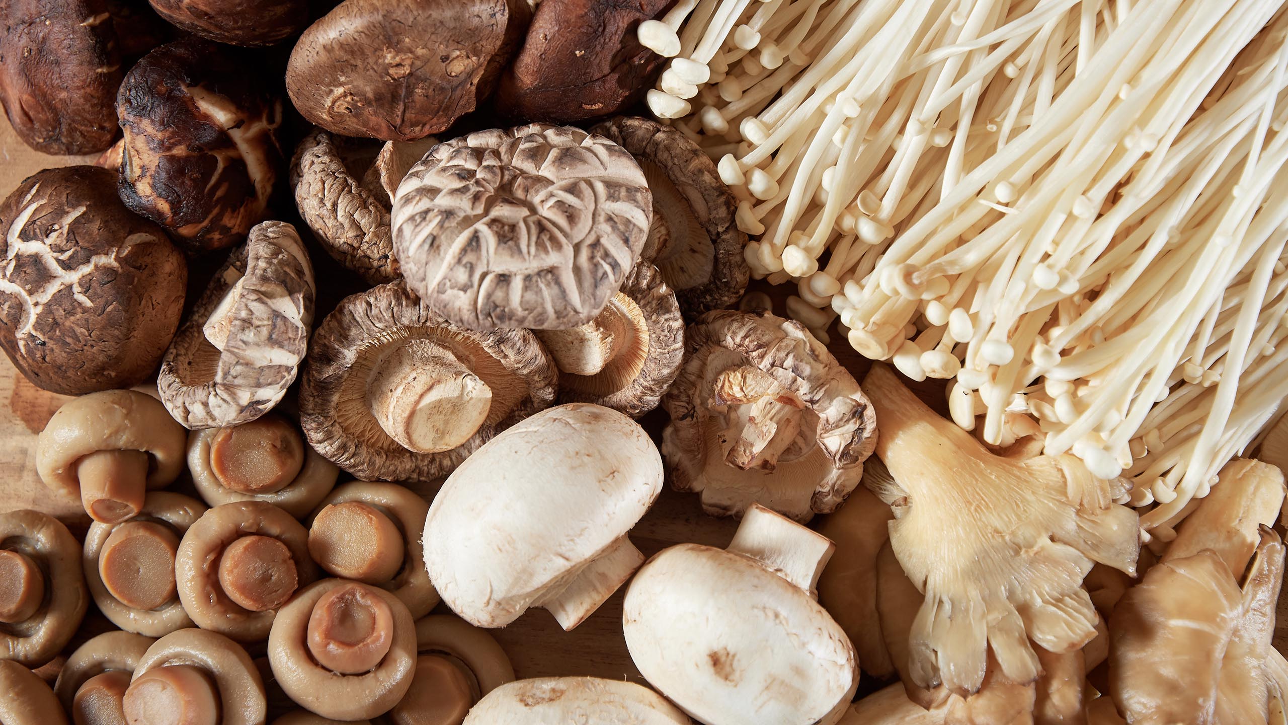 Can mushrooms help with weight loss? Organic Mushrooms