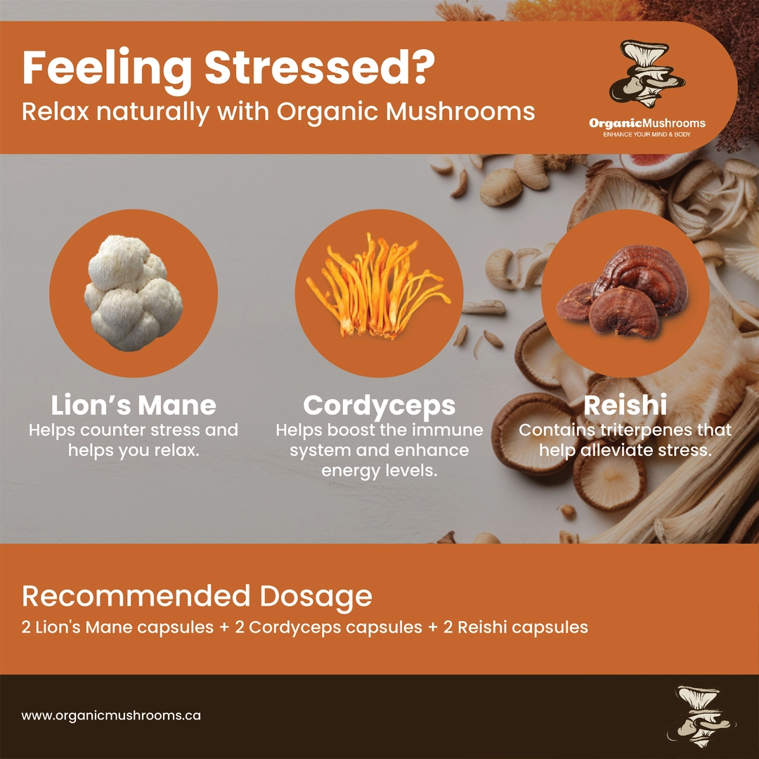 Relaxation Wellness Bundle