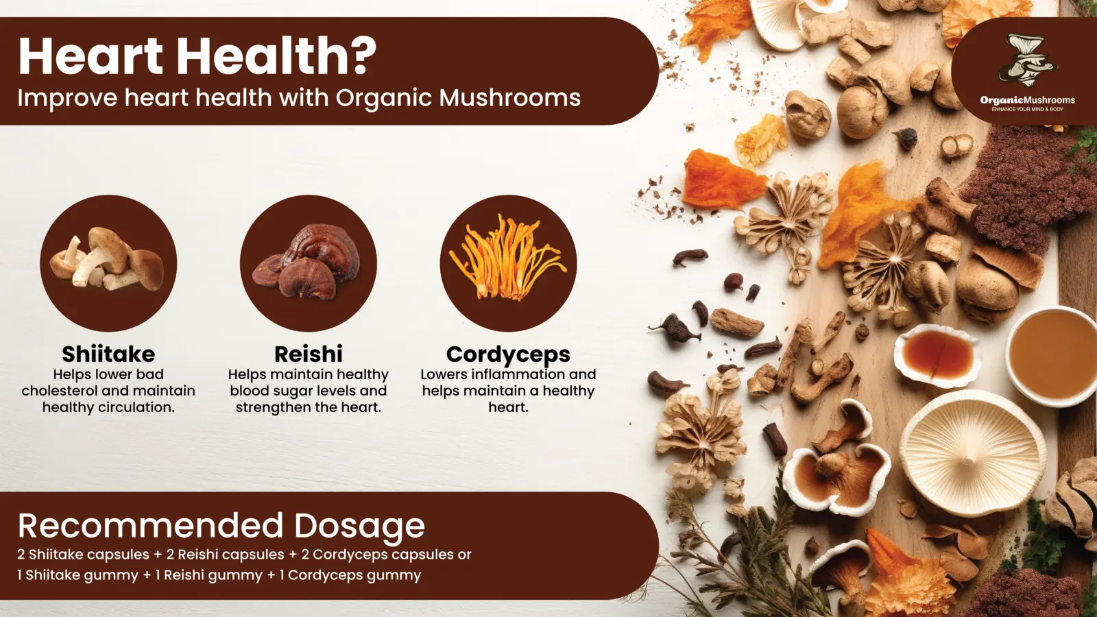 Heart Health Wellness Bundle Organic Mushrooms