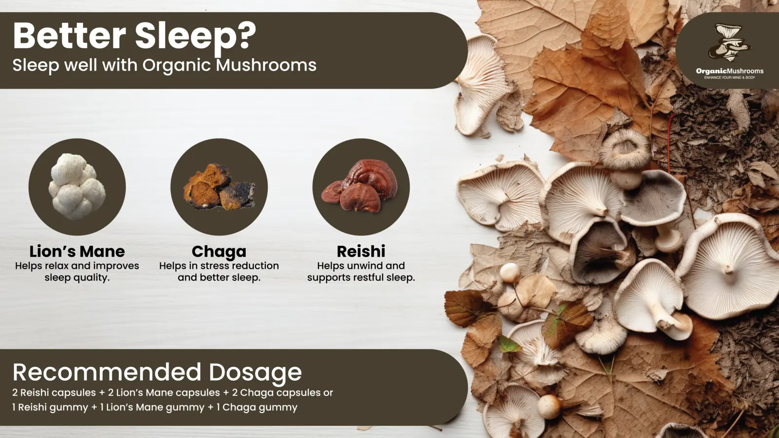 Sleep Aid Wellness Bundle Organic Mushrooms