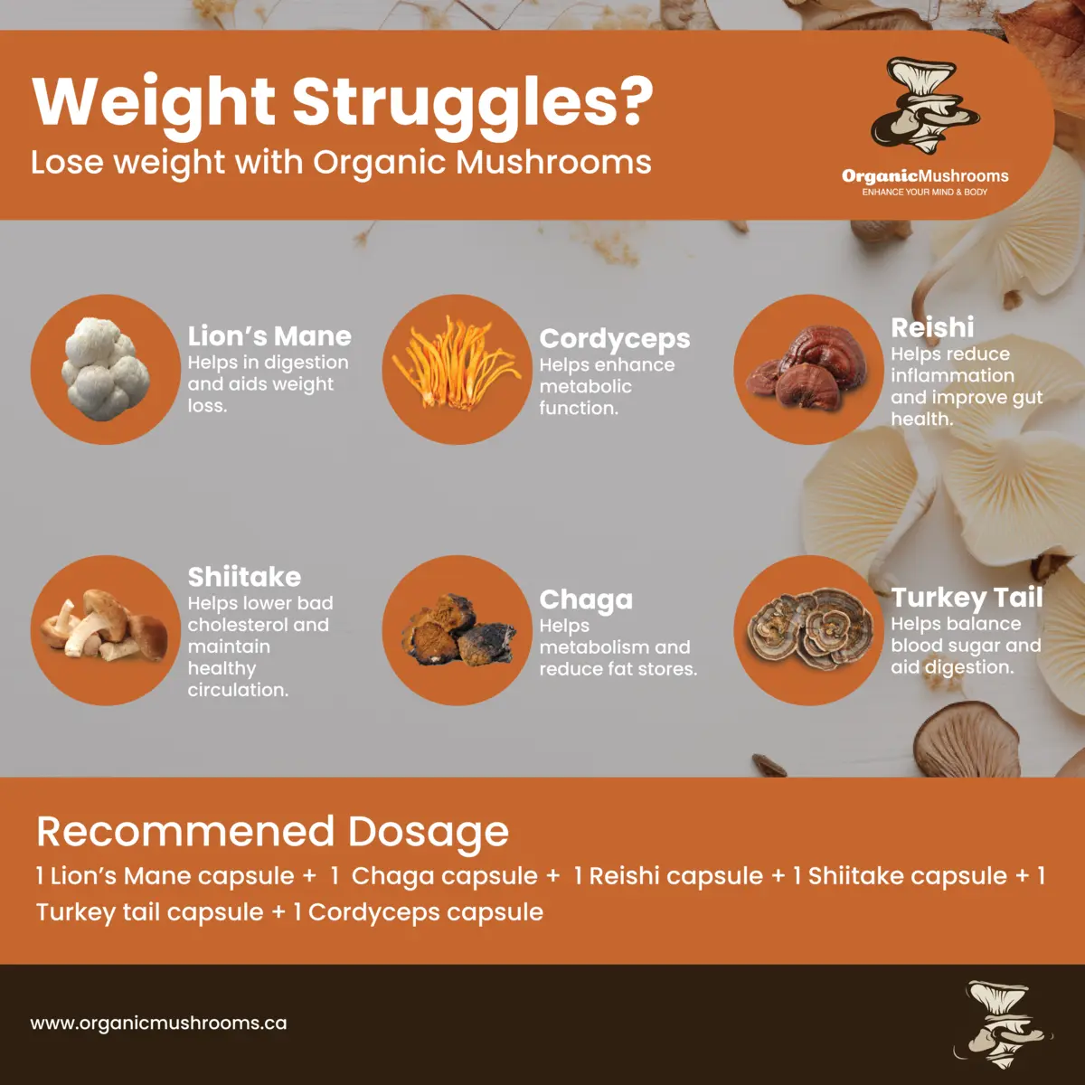 Organic Mushrooms Weight Loss Mushrooms Bundle