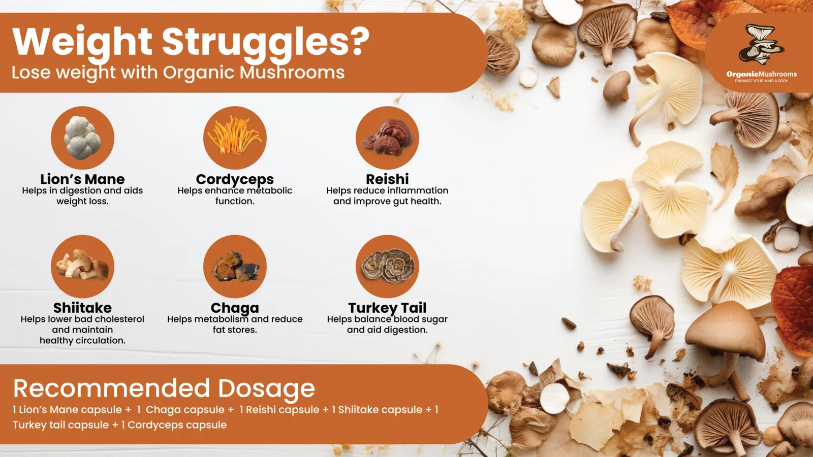 Weight Loss Wellness Bundle | Organic Mushrooms