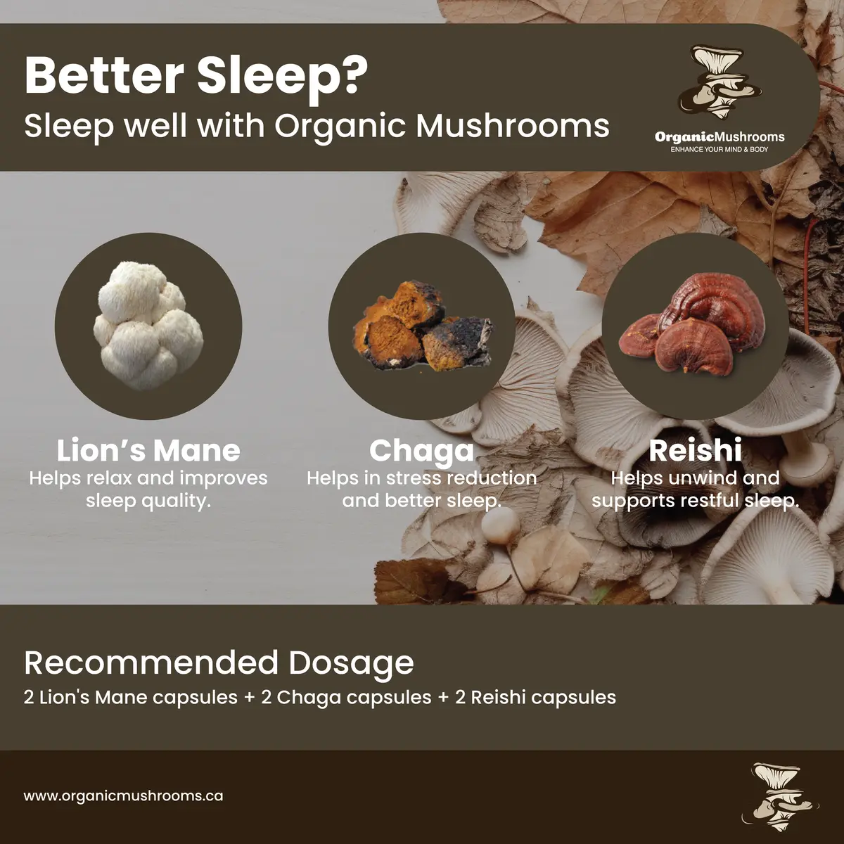 Sleep Aid Mushrooms Bundle Organic Mushrooms