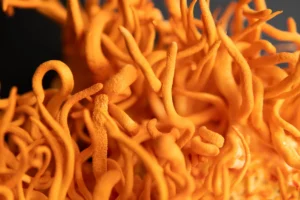 Elevate Your Well-Being with Cordyceps