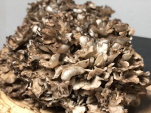 Can you eat Maitake Mushrooms daily?