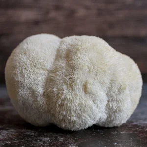 Functional Mushrooms and the best time to consume them