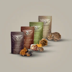 Detox & Renew Wellness Bundle