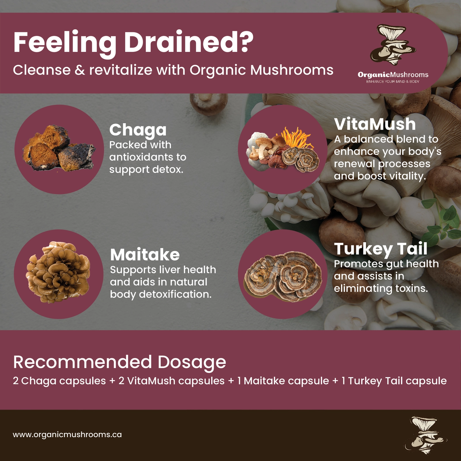 Detox & Renew Wellness Bundle