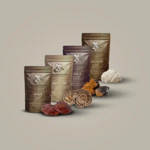 Digestion Aid Wellness Bundle