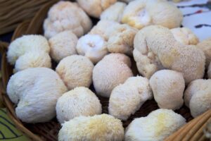 Top Mushroom Trends to Watch for in 2025