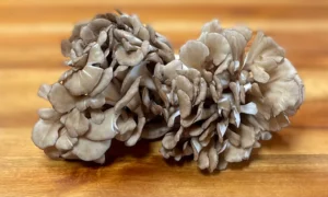 A Look Into the Recent Health Claims of Maitake