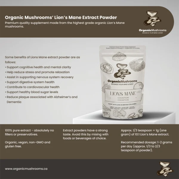 Lion's Mane Powder - Image 3