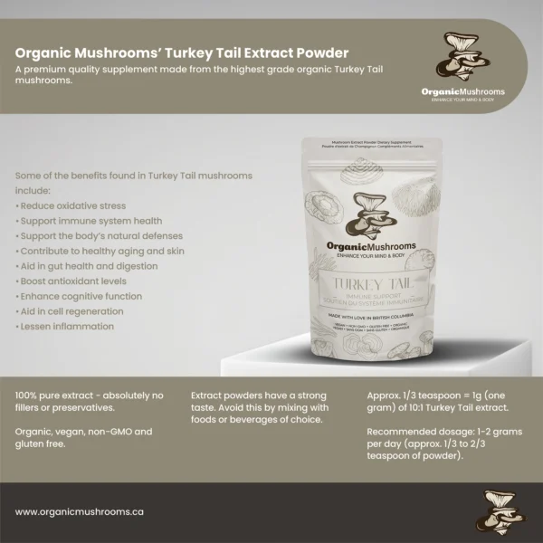 Turkey Tail Powder - Image 3