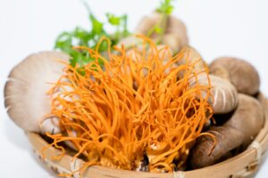 Enhance Your Workouts with the Potential of Cordyceps