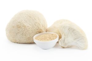Why Colour Variation is Normal Between Different Batches of the Same Mushroom