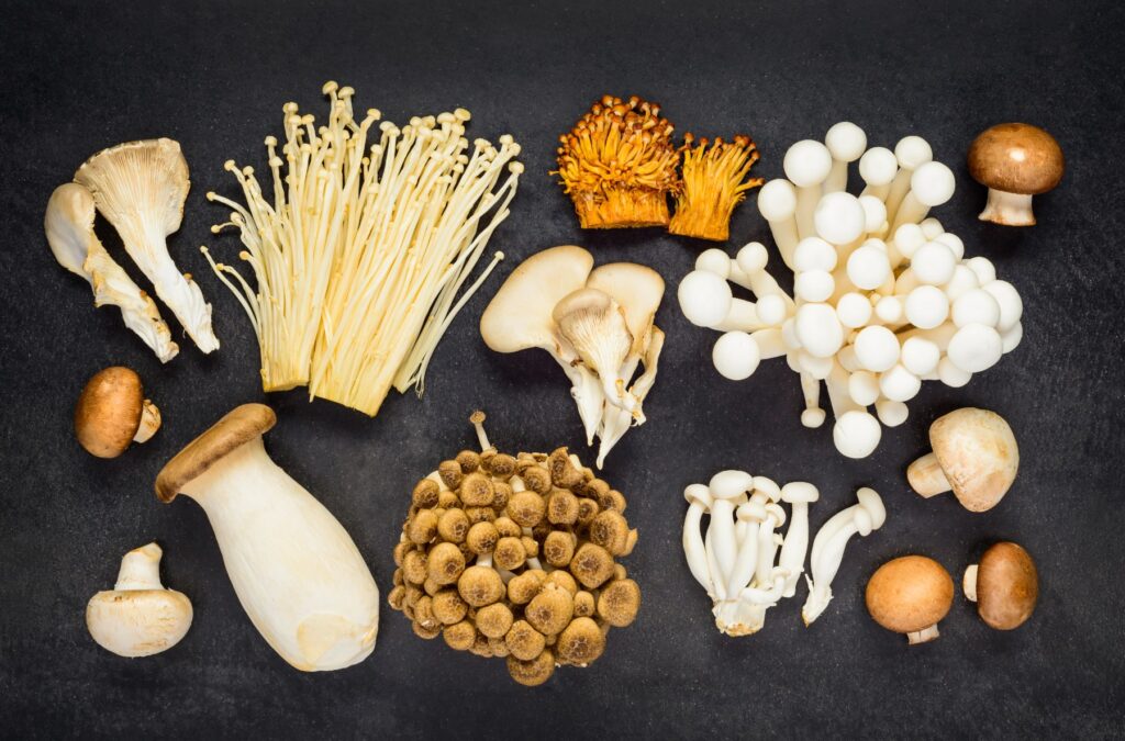 The Complete Beginner’s Guide to Functional Mushrooms