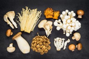 The Complete Beginner’s Guide to Functional Mushrooms