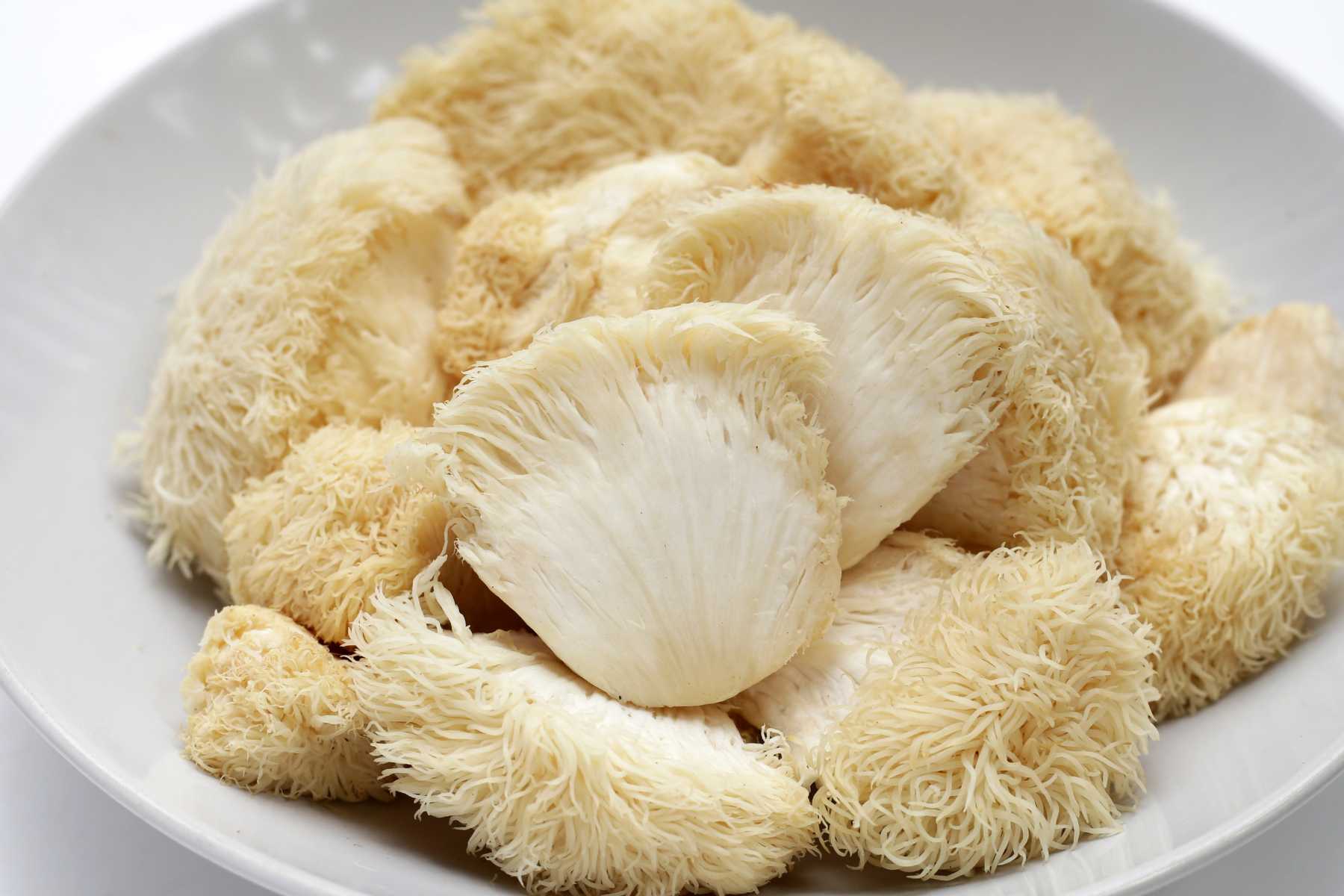 5 Easy Ways to Add Lion’s Mane to Your Day