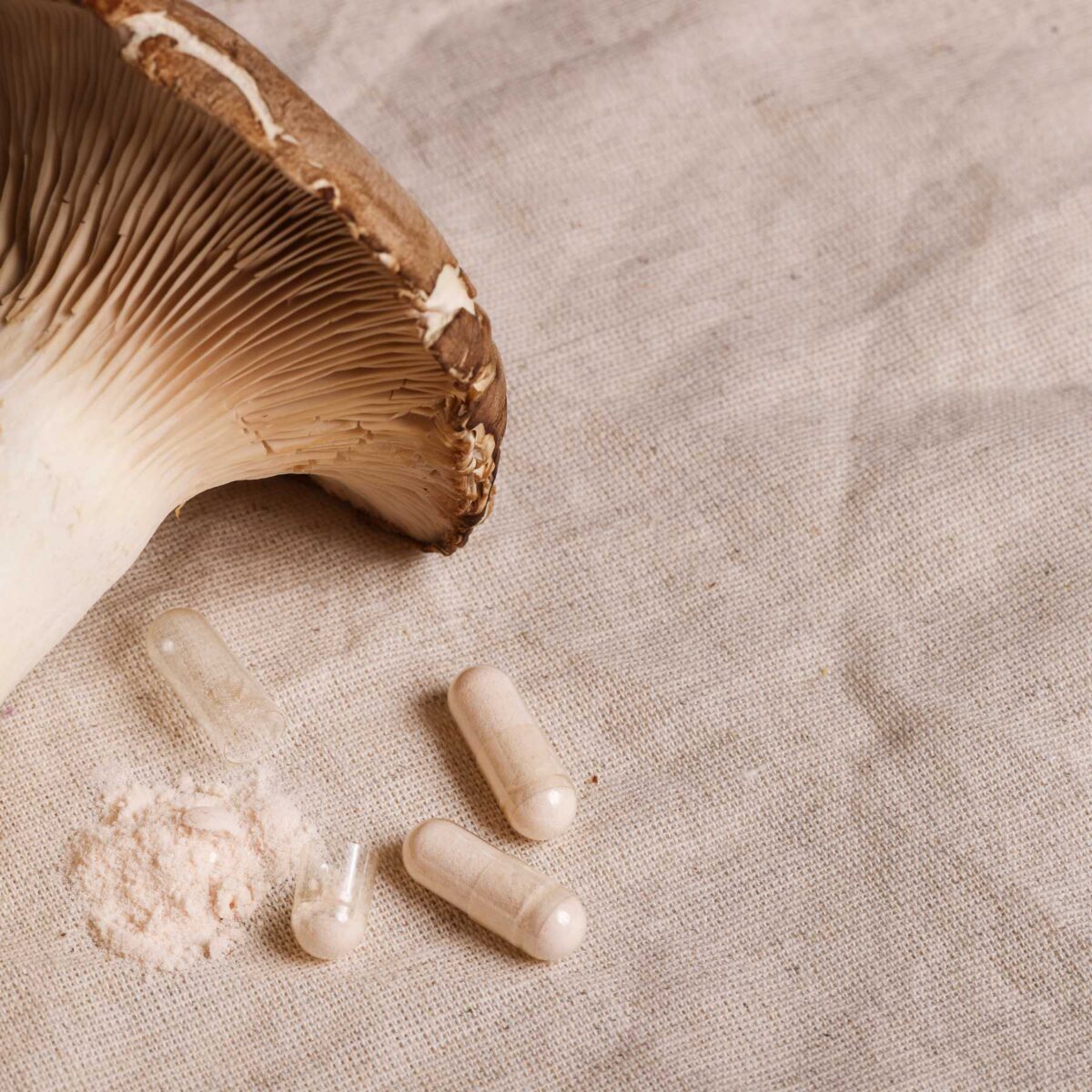 Functional Mushrooms vs Supplements - What’s the Difference