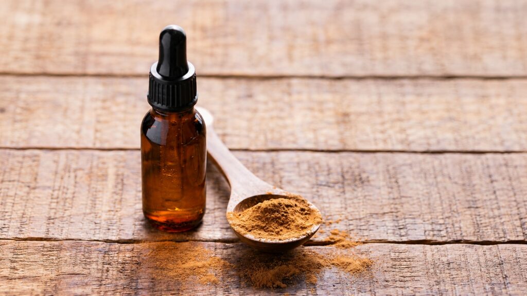 Mushroom Tinctures vs Mushroom Powder