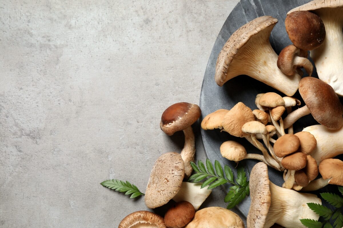 Making Mushrooms Part of Your Everyday Routine