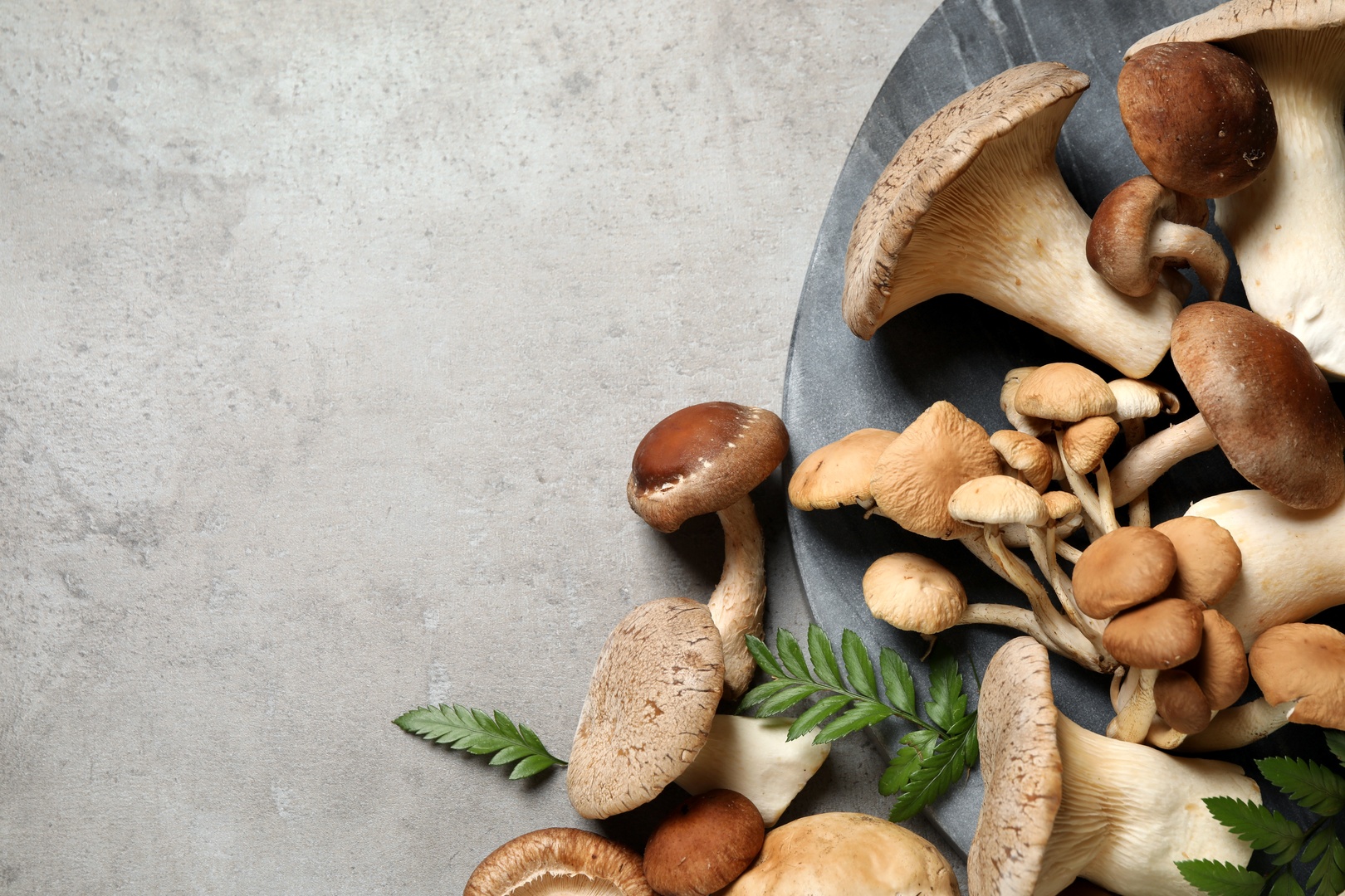 Making Mushrooms Part of Your Everyday Routine